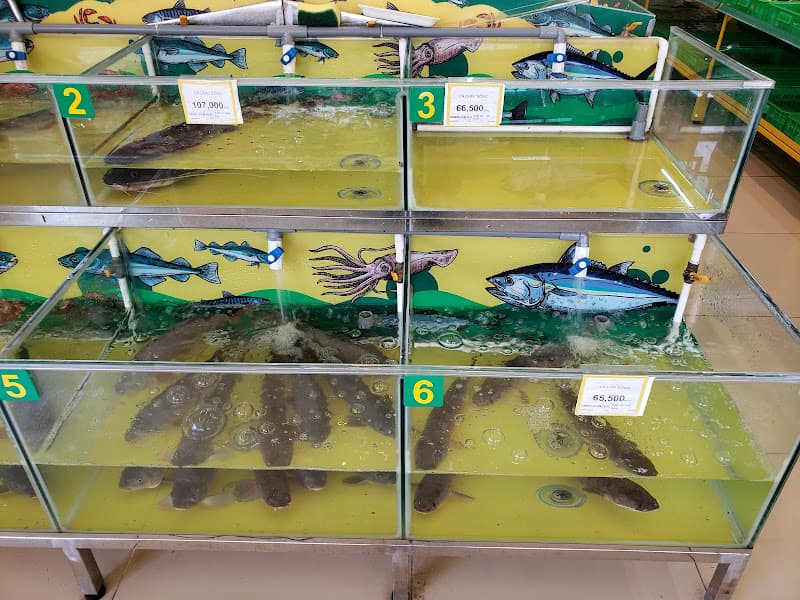 Hình ảnh Siêu thị Bách hóa XANH 170 Đinh Quang Ân - 2