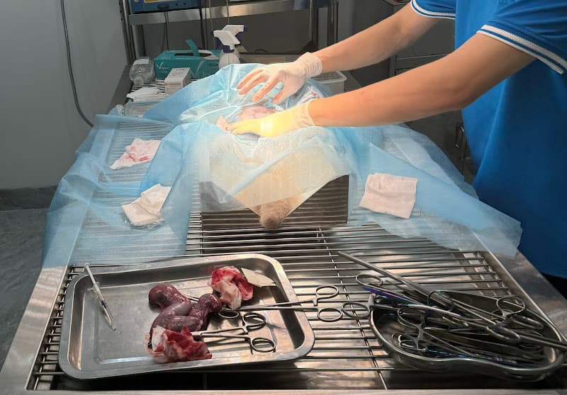 Hình ảnh Bệnh Viện Thú Y Lào Cai - 4