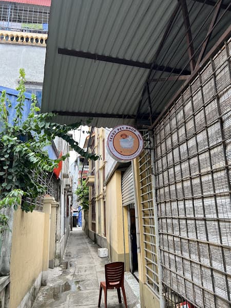 Hình ảnh Teddy Pet Shop - 4