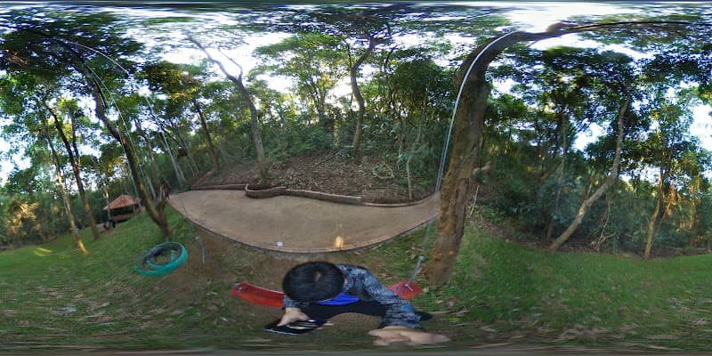 Hình ảnh Nhà Hàng Rừng Vàng - 7