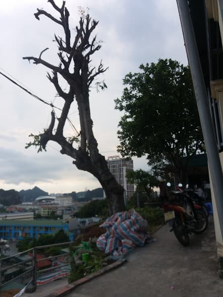 Hình ảnh Phở Cồ Khắc - 4