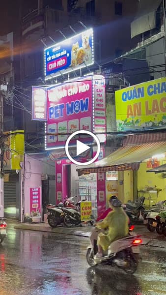 Hình ảnh Pet Shop & Spa thú cưng: Cắt tỉa lông chó mèo, Trị ve chó - Pet Wow - 2