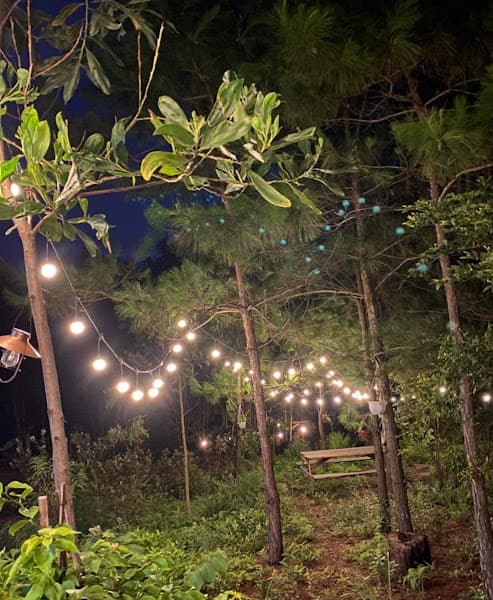 Ảnh bìa Gã Mơ Campart