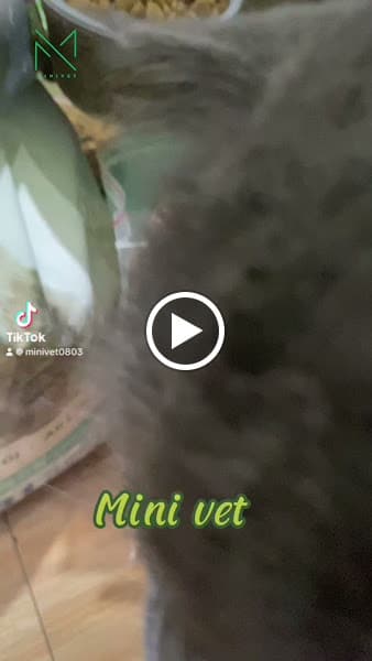 Hình ảnh Phòng khám thú cưng Mini Vet - 4