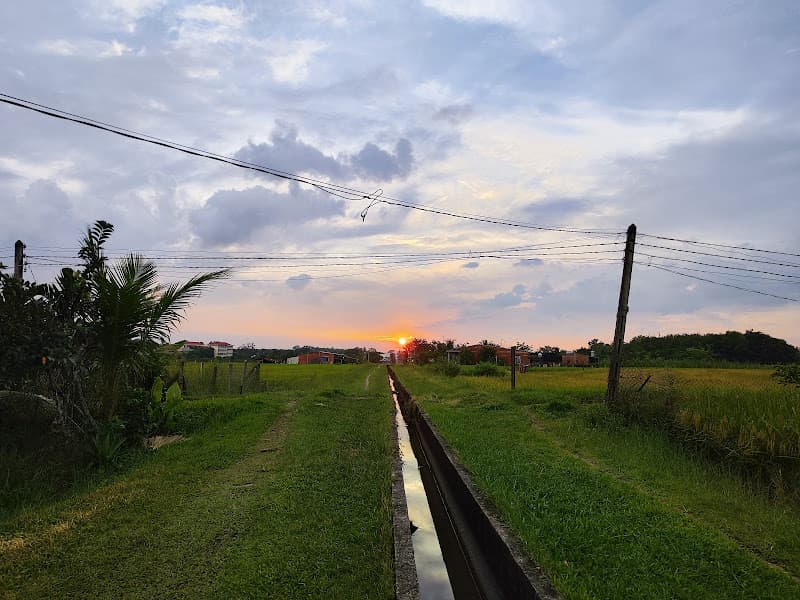 Hình ảnh Thú Y Tây Ninh - CMT8 - 2