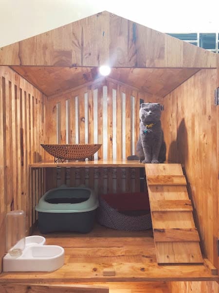 Hình ảnh Meo meo House - 3