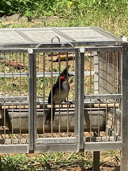 Hình ảnh Xuân Quỳnh TB - 2