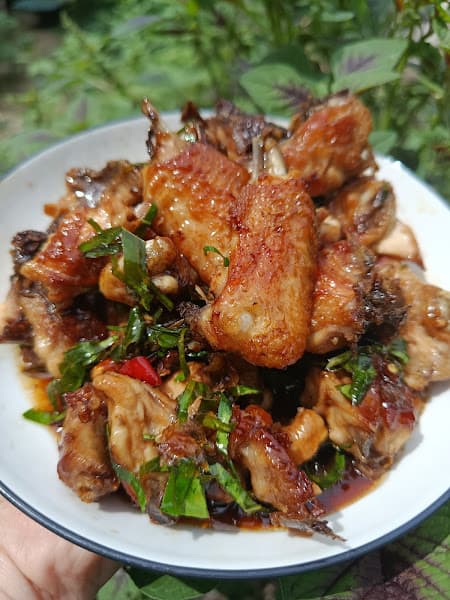 Ảnh bìa Trà Sữa Sơn Giang