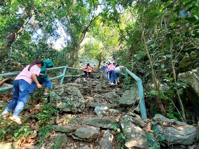 Hình ảnh Hang Con Moong - 2