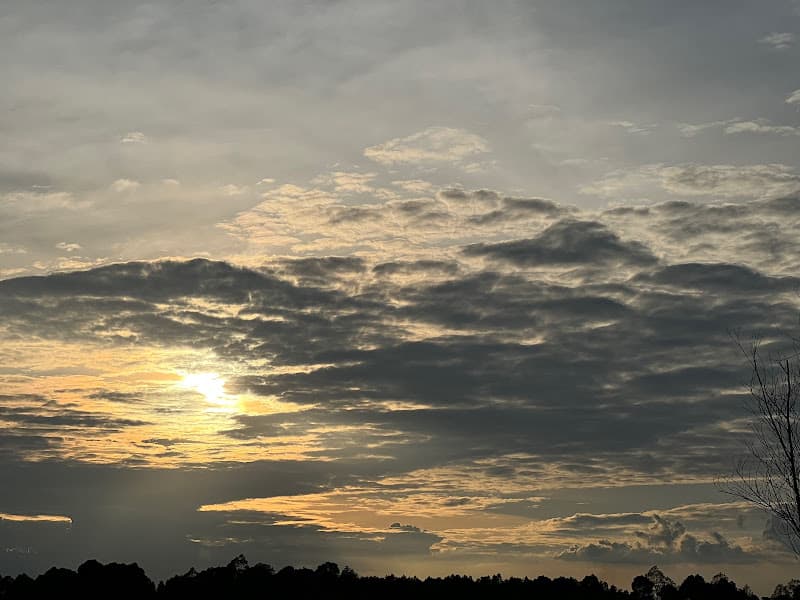 Hình ảnh KHẼ CHẠM CAMP ART - 4