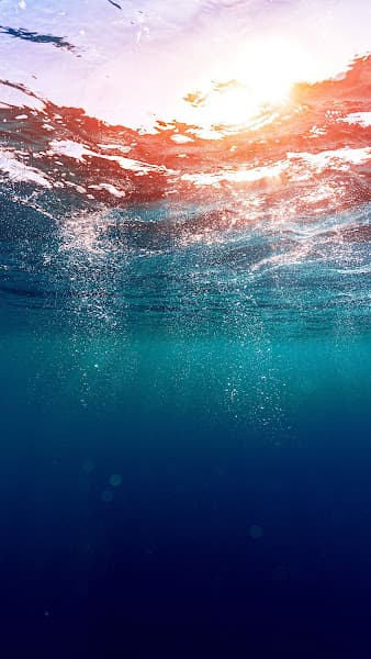 Hình ảnh Bánh Canh Cô Hằng - 4