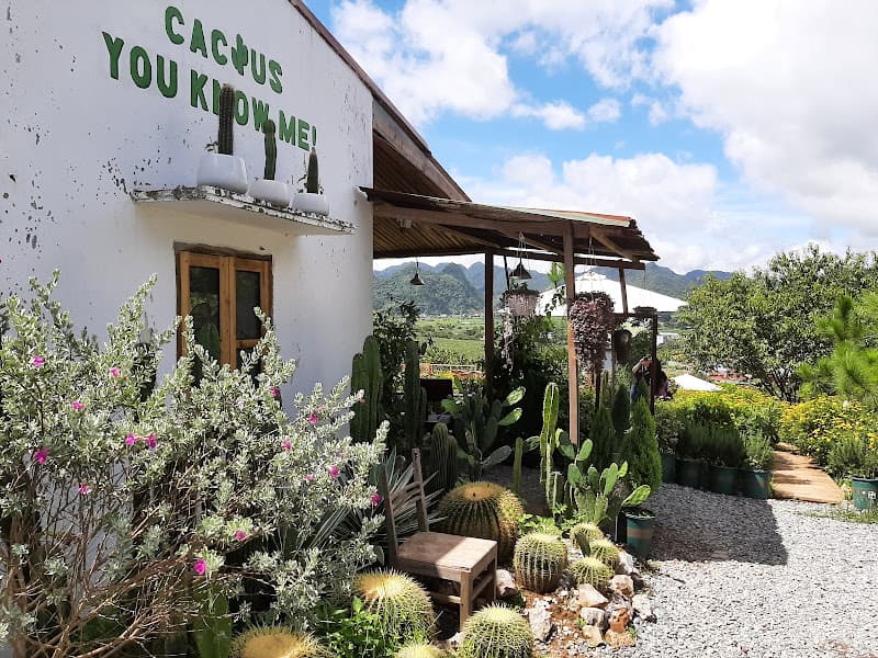 Ảnh bìa Tiệm cà phê Cánh Cam