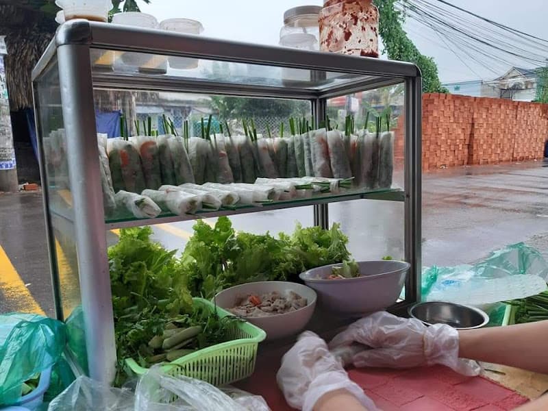 Hình ảnh GỎI CUỐN - SÚP CUA _GIẶT SẤY THANH HÀ - 2