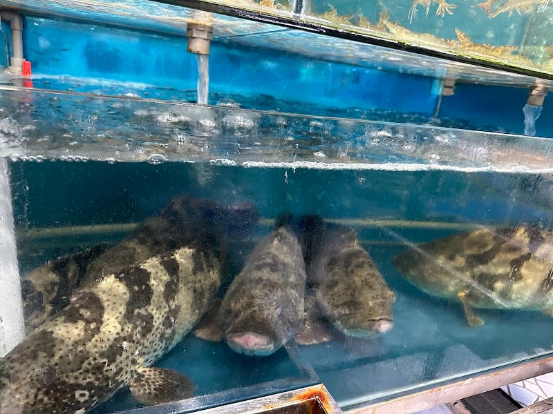 Hình ảnh PHỐ MỎ - ẩm thực CHẤT vùng mỏ - 4