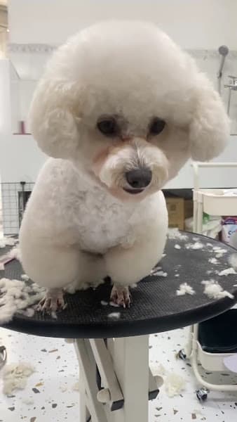 Hình ảnh Wannapet House Đà Nẵng - 2