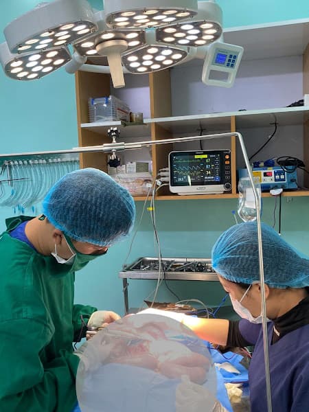 Hình ảnh Island Pet - 2