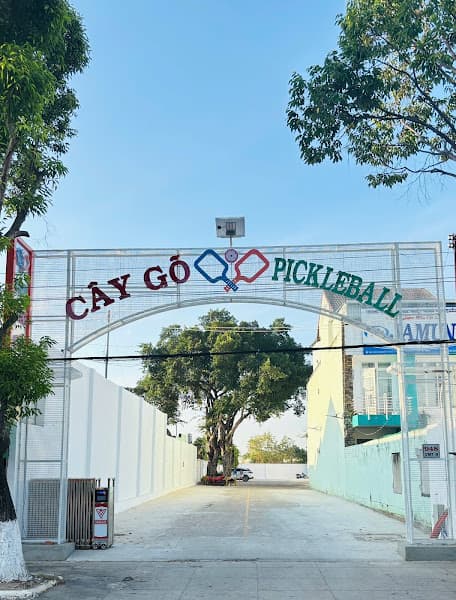 Hình ảnh Cây Gõ Pickleball - 5