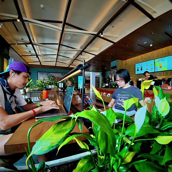 Hình ảnh Starbucks Vincom Mỹ Tho - 3