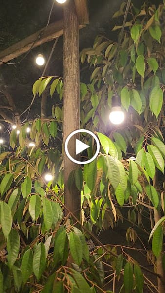 Hình ảnh B' Glamping - 2