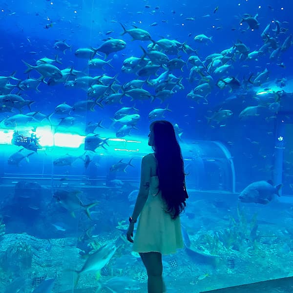 Hình ảnh Bánh mì Bà Được Quảng Ngãi - 10