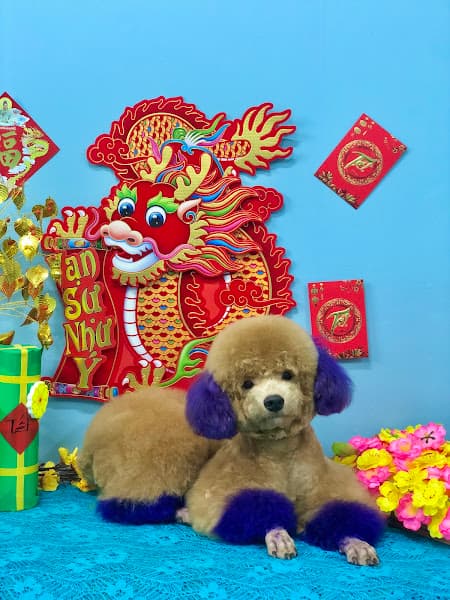 Ảnh bìa Tiệm của Pet Biên Hoà