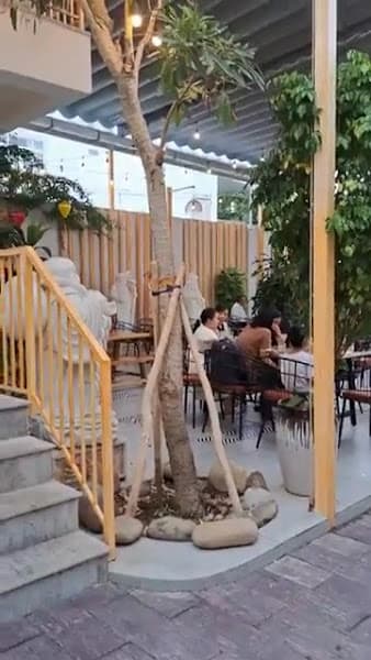 Hình ảnh Hoa Đô Coffee - 3