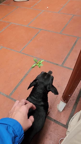 Hình ảnh Bún Bò Huế Nguyệt - 6