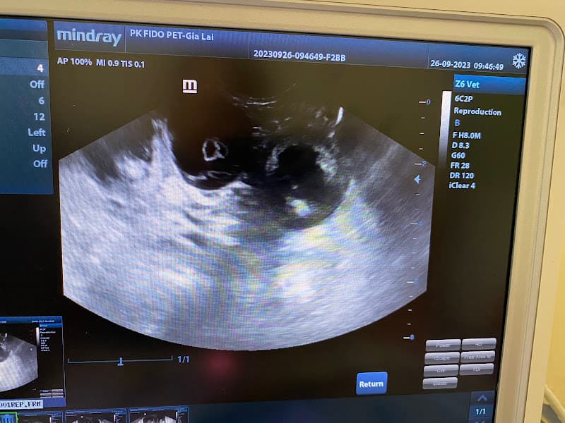 Ảnh bìa Phòng Khám Thú Cưng Fido Pet