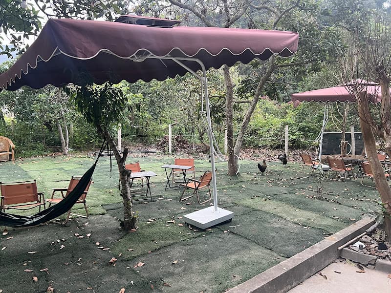 Hình ảnh Mộc Sơn PICKLEBALL - 8