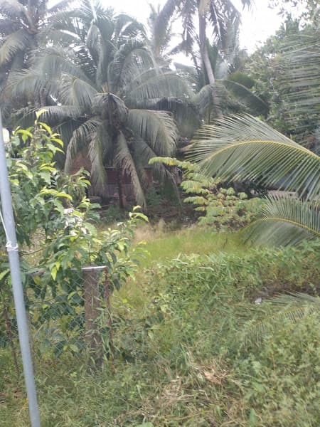 Hình ảnh Quán coffe karaoke Phương Diễm - 2