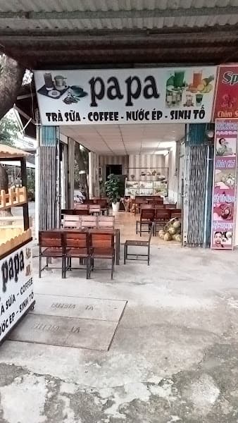 Hình ảnh Trà sữa papa - 4