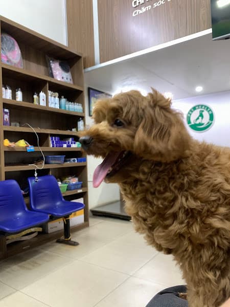 Hình ảnh Bệnh viện thú y Pethealth Hạ Long - 2