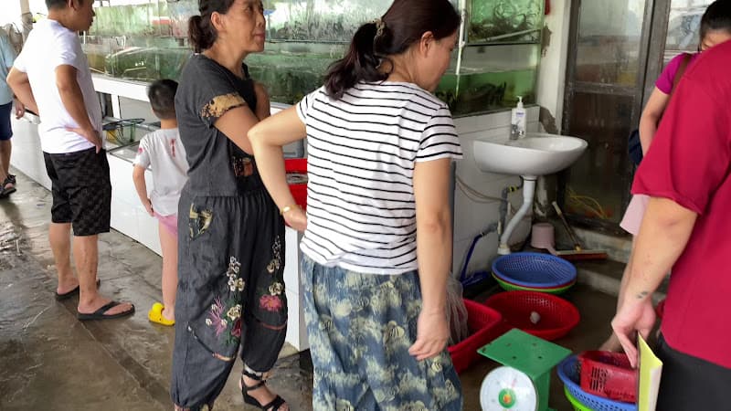 Hình ảnh Nhà hàng Tuấn Phú Quý, Biển Thiên Cầm, Hà Tĩnh - 4