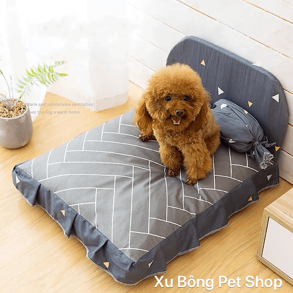 Hình ảnh Xu Bông Pet Shop - Cửa Hàng Thú Cưng - 4