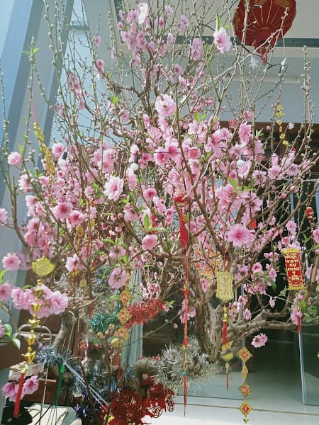 Hình ảnh Mật ong rừng Sơn La Vượng Thúy - 3