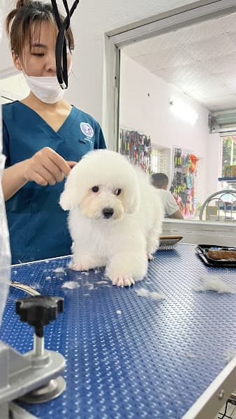 Hình ảnh Phòng khám thú y Ecopet 247 - 4