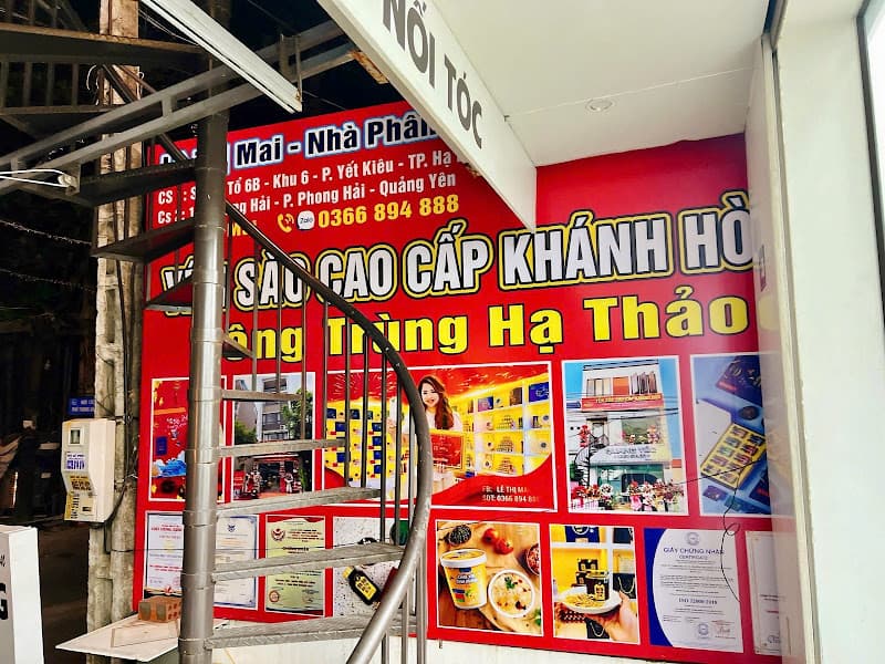 YẾN SÀO KHÁNH HÒA NATUNEST - Nhà Phân Phối Quảng Ninh