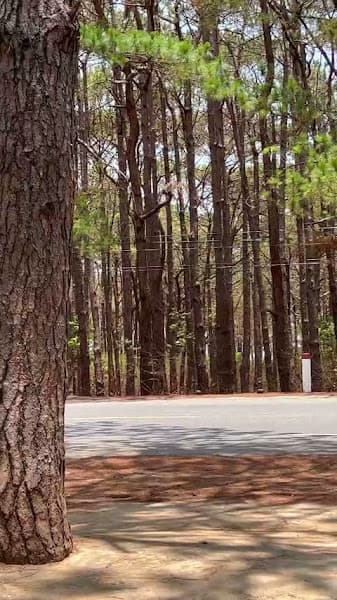 Hình ảnh Lagom Coffee, Tea & Desserts - 6