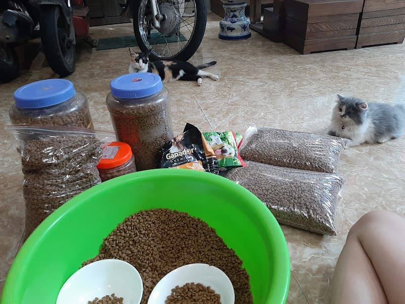 Hình ảnh ThảoPetHouse - Spa Thú Cưng - 4