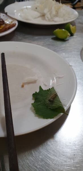 Hình ảnh Bún Chả Tiến Phượng - 8