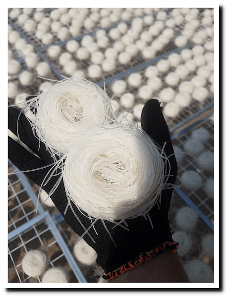 Hình ảnh XƯỞNG SẢN XUẤT PHỞ KHÔ GIA LAI - BÚN TƯƠI GIA LAI - GIAO HÀNG TẬN NƠI TOÀN QUỐC - 5