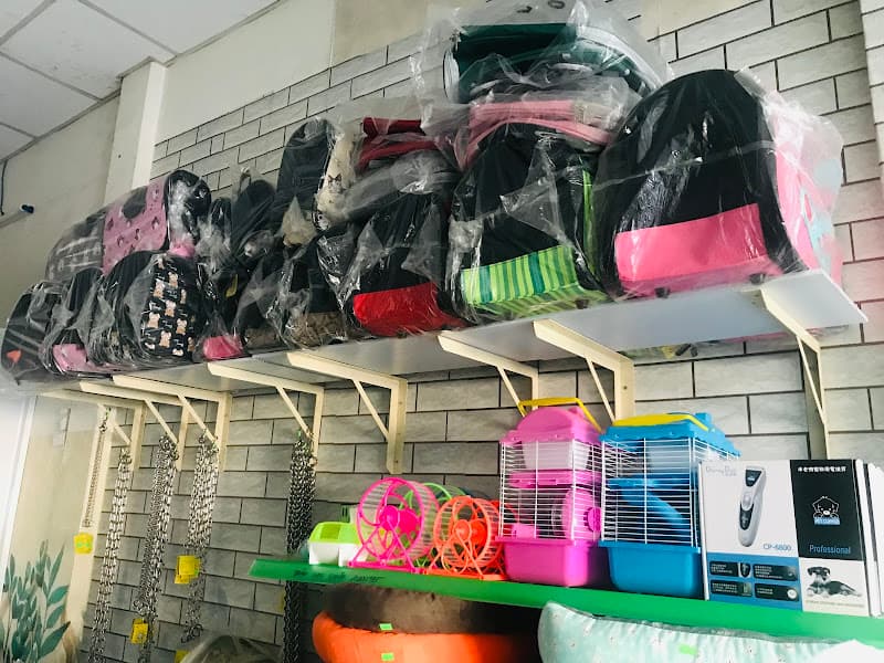 Hình ảnh Thú Y Puppy Pet - 2