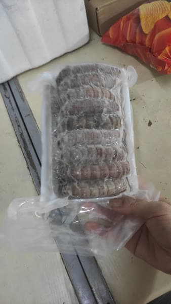 Hình ảnh Hải Sản Nghệ An - 2