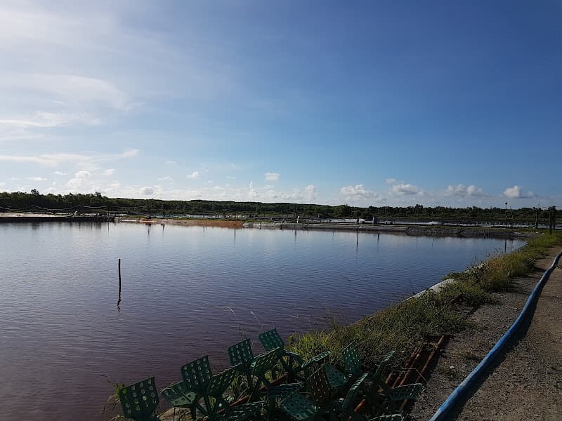 Ảnh bìa Trang trại Yến Sào Phú Hưng Cần Giờ - Nhà yến số 2