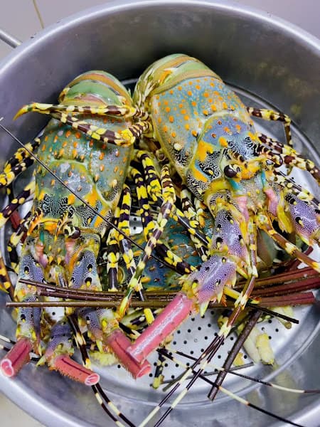 Hình ảnh Cháo Dinh Dưỡng Cao Cấp Mẹ Thỏ - 3