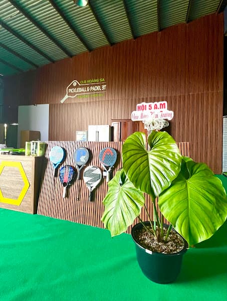 Hình ảnh CLB Pickleball & Padel 100 Hoàng Sa - 6