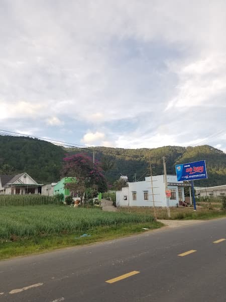 Hình ảnh Quán bánh xèo cô Hiền - 4