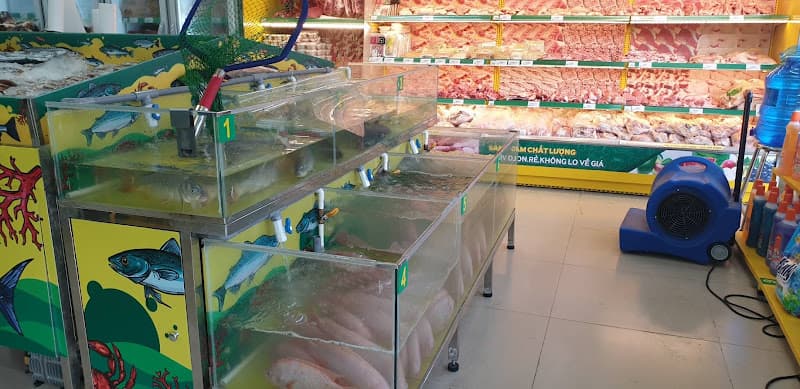 Hình ảnh Siêu thị Bách hóa XANH Ấp Tân An Chợ - 4