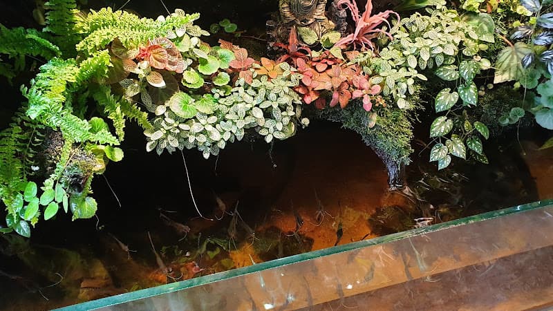 Hình ảnh Green Milk Tea and Coffee - 9