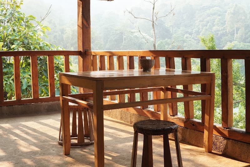 Ảnh bìa In The Forest Kitchen - Local Food & Drink